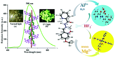 Graphical abstract: Solvent-tuned discriminant sensing of Al3+, Mg2+ and HF2− by vanilinyl-picolinyl hydrazide Schiff base