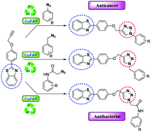 Graphical abstract: Copper fluorapatite assisted synthesis of new 1,2,3-triazoles bearing a benzothiazolyl moiety and their antibacterial and anticancer activities