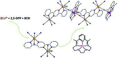 Graphical abstract: A novel octacyanido dicobalt(iii) building block for the construction of heterometallic compounds