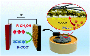 Graphical abstract: Air/water interfacial growth of Pt nanothorns anchored in situ on macroscopic freestanding CNT thin film for efficient methanol oxidation