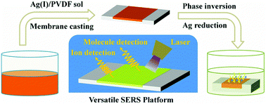 Graphical abstract: In situ decoration of plasmonic silver nanoparticles on poly(vinylidene fluoride) membrane for versatile SERS detection