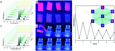 Graphical abstract: A novel LEuH/PVA luminescent hydrogel with ammonia response and self-recovery luminescence behavior