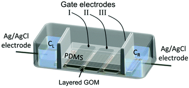 Graphical abstract: Gated ion transport through layered graphene oxide membranes