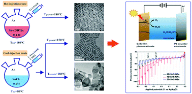 Graphical abstract: Colloidal synthesis of SnS nanocrystals with dimension-dependent photoelectrochemical properties