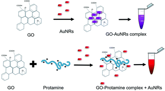 Graphical abstract: A colorimetric sensor for protamine detection based on the self-assembly of gold nanorods on graphene oxide