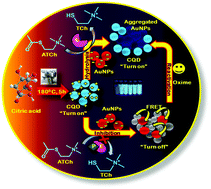 Graphical abstract: A carbon quantum dot–gold nanoparticle system as a probe for the inhibition and reactivation of acetylcholinesterase: detection of pesticides
