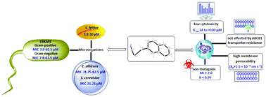 Graphical abstract: Pronounced activity of aromatic selenocyanates against multidrug resistant ESKAPE bacteria