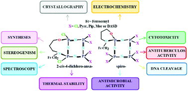 Graphical abstract: Phosphorus–nitrogen compounds. Part 42. The comparative syntheses of 2-cis-4-ansa(N/O) and spiro(N/O) cyclotetraphosphazene derivatives: spectroscopic and crystallographic characterization, antituberculosis and cytotoxic activity studies