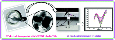 Graphical abstract: Enzyme-less sensing of the kidney dysfunction biomarker creatinine using an inulin based bio-nanocomposite
