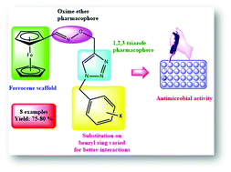 Graphical abstract: Synthesis, characterization and antimicrobial evaluation of ferrocene–oxime ether benzyl 1H-1,2,3-triazole hybrids