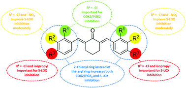 Graphical abstract: Synthesis of diarylidenecyclohexanone derivatives as potential anti-inflammatory leads against COX-2/mPGES1 and 5-LOX