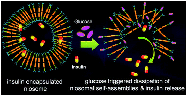 Graphical abstract: Glucose-triggered dissolution of phenylboronic acid-functionalized cholesterol-based niosomal self-assembly for tuneable drug release