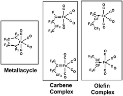 Graphical abstract: Alternative modes of bonding of C4F8 units in mononuclear and binuclear iron carbonyl complexes