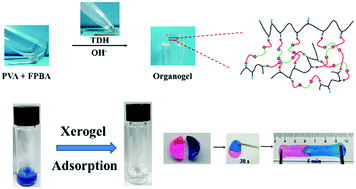 Graphical abstract: Ultra-fast self-healing PVA organogels based on dynamic covalent chemistry for dye selective adsorption