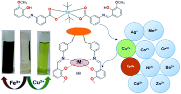 Graphical abstract: Organotin metalloligands for selective sensing of metal ions