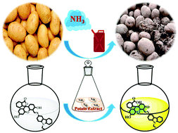 Graphical abstract: Easy and rapid estimation of ammonia in cold-storage potatoes: precautions in the environment
