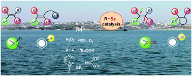 Graphical abstract: Organoselenium small molecules as catalysts for the oxidative functionalization of organic molecules