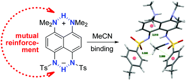 Graphical abstract: Positively and negatively charged NHN hydrogen bonds in one molecule: synergistic strengthening effect, superbasicity and acetonitrile capture