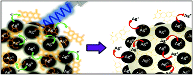 Graphical abstract: Effect of hybrid SiO2@Ag nanoparticles with raspberry-like morphology on the excited states of the photosensitizers Rose Bengal and riboflavin