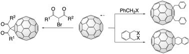 Graphical abstract: Reaction of the C60 radical anion with alkyl halides