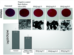 Graphical abstract: Nanostructured silver decorated hollow silica and their application in the treatment of microbial contaminated water at room temperature