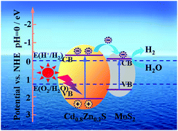 Graphical abstract: Amorphous MoS2 decorated on uniform Cd0.8Zn0.2S microspheres with dramatically improved photocatalytic hydrogen evolution performance
