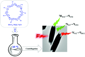 Graphical abstract: A facile aqueous synthesis strategy for hexagonal phase NaGdF4 nanorods