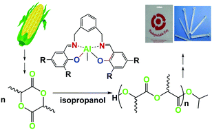 Graphical abstract: Synthesis of biodegradable and biorenewable polylactides initiated by aluminum complexes bearing m-xylylenediamine derivatives via the ring-opening polymerization of lactides