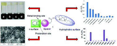 Graphical abstract: Cholesterol linked benzothiazole: a versatile gelator for detection of picric acid and metal ions such as Ag+, Hg2+, Fe3+ and Al3+ under different conditions