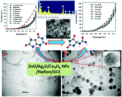 Graphical abstract: Detection of uric acid based on doped ZnO/Ag2O/Co3O4 nanoparticle loaded glassy carbon electrode