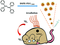 Graphical abstract: Heavy atom free 1,1,4,4-tetraphenylbuta-1,3-diene with aggregation induced emission for photodynamic cancer therapy