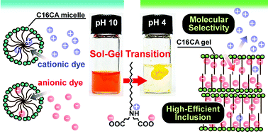 Graphical abstract: Ion-selective molecular inclusion of organic dyes into pH-responsive gel assemblies of zwitterionic surfactants