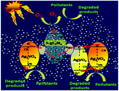 Graphical abstract: In situ S-doped ultrathin gC3N4 nanosheets coupled with mixed-dimensional (3D/1D) nanostructures of silver vanadates for enhanced photocatalytic degradation of organic pollutants
