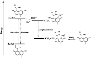 Graphical abstract: A highly selective and sensitive ESIPT-based coumarin–triazole polymer for the ratiometric detection of Hg2+