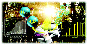 Graphical abstract: ZnO@CdS heterostructures: an efficient photoanode for photoelectrochemical water splitting