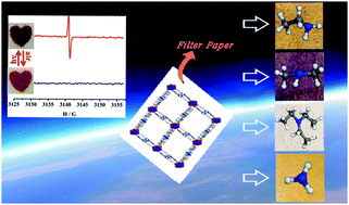 Graphical abstract: A metal–organic framework constructed by a viologen-derived ligand: photochromism and discernible detection of volatile amine vapors