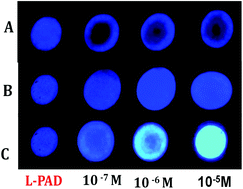 Graphical abstract: Luminescent behavior of pyrene-allied calix[4]arene for the highly pH-selective recognition and determination of Zn2+, Hg2+ and I−via the CHEF-PET mechanism: computational experiment and paper-based device