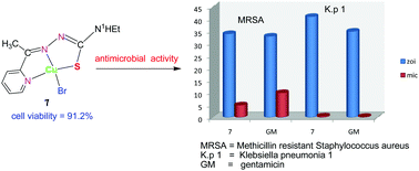 Graphical abstract: Synthesis of 2-acetylpyridine-N-substituted thiosemicarbazonates of copper(ii) with high antimicrobial activity against methicillin resistant S. aureus, K. pneumoniae 1 and C. albicans
