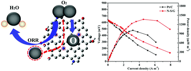 Graphical abstract: Nitrogen and sulfur dual-doped graphene as an efficient metal-free electrocatalyst for the oxygen reduction reaction in microbial fuel cells