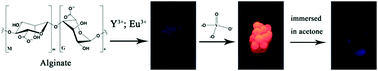 Graphical abstract: Hybrid luminescent alginate hydrogels containing lanthanide with potential for acetone sensing