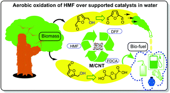 Graphical abstract: Metal-functionalized carbon nanotubes for biomass conversion: base-free highly efficient and recyclable catalysts for aerobic oxidation of 5-hydroxymethylfurfural