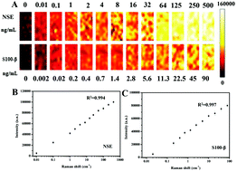 Graphical abstract: Multiplexed electrochemical and SERS dual-mode detection of stroke biomarkers: rapid screening with high sensitivity