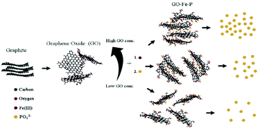 Graphical abstract: Optimisation of phosphate loading on graphene oxide–Fe(iii) composites – possibilities for engineering slow release fertilisers