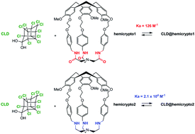 Graphical abstract: Recognition of the persistent organic pollutant chlordecone by a hemicryptophane cage