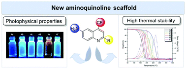 Graphical abstract: Synthesis and photophysical, thermal and antimycobacterial properties of novel 6-amino-2-alkyl(aryl/heteroaryl)-4-(trifluoromethyl) quinolines