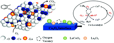 Graphical abstract: The effect of different metal oxides on the catalytic activity of a Co3O4 catalyst for toluene combustion: importance of the structure–property relationship and surface active species