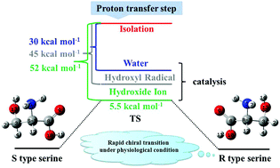 Graphical abstract: Theoretical investigation of the chiral transition of serine and the roles of water, hydroxyl radical and hydroxide ion