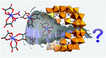 Graphical abstract: Niobium uptake by a [P8W48O184]40− macrocyclic polyanion