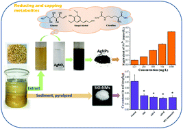 Graphical abstract: Thorough utilization of rice husk: metabolite extracts for silver nanocomposite biosynthesis and residues for silica nanomaterials fabrication