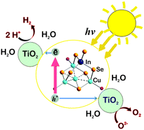 Graphical abstract: Synthesis and characterisation of [Cu4In(PPh3)3SePh(μ-SePh)3(μ3-SePh)3], and its application as a precursor of a sensitizer for a photocatalyst